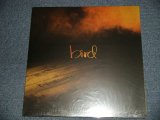 画像: BIRD バード - 君の音が聴こえる場所へ (NEW)  / 1999 JAPAN ORIGINAL "BRAND NEW" 12"