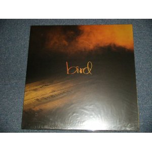 画像: BIRD バード - 君の音が聴こえる場所へ (NEW)  / 1999 JAPAN ORIGINAL "BRAND NEW" 12"