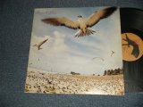 画像: 高中正義 MASAYOSHI TAKANAKA - SEYCHELLS (NO INSERTS) (Ex+++/MINT-)  / 1976 JAPAN ORIGINAL Used LP  