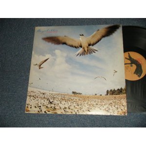 画像: 高中正義 MASAYOSHI TAKANAKA - SEYCHELLS (NO INSERTS) (Ex+++/MINT-)  / 1976 JAPAN ORIGINAL Used LP  
