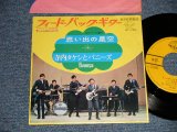 画像: 寺内タケシとバニーズ TAKESHI TERAUCHI & THE BUNNYS - A) フィード・バック・ギター FEEDBACK GUITAR  B) 思い出の星空 (Ex++/Ex+++)  / 1968 JAPAN ORIGINAL Used 7" 45 rpm Single 