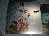 画像: JIGHEAD ジグヘッド - セキセイインコ (NEW)  / 2001 JAPAN ORIGINAL "BRAND NEW" 12"