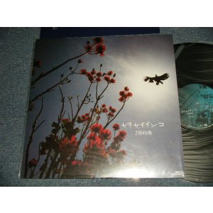 画像: JIGHEAD ジグヘッド - セキセイインコ (NEW)  / 2001 JAPAN ORIGINAL "BRAND NEW" 12"