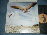 画像: 高中正義 MASAYOSHI TAKANAKA - SEYCHELLS (with INSERTS) (Ex+++/MINT-)  / 1976 JAPAN ORIGINAL Used LP  