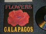 画像: ガラパゴス GALAPAGOS - FLOWERS (MINT/MINT) /  1991 JAPAN ORIGINAL "PROMO ONLY"Used CD