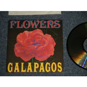 画像: ガラパゴス GALAPAGOS - FLOWERS (MINT/MINT) /  1991 JAPAN ORIGINAL "PROMO ONLY"Used CD