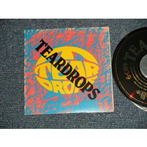 画像: Teardrops - らくガキ (Ex++/Ex++) /  1989 JAPAN ORIGINAL "PROMO ONLY" Used CD