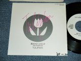 画像: チューリピアン ulipian  - A) 風のスケートリンク  B) Passion Blue (Eye On You) (Ex++/Ex+++ SWOFC)  / 1989 JAPAN ORIGINAL "PROMO ONLY"  Used 7" Single シングル