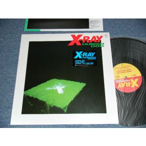 画像: X-RAY -HUMAN DOG (MINT/MINT) / 1985 JAPAN ORIGINAL Used 12" with SEAL OBI
