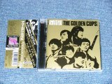 画像: ゴールデン・カップス THE GOLDEN CUPS  - THE GOLDEN CUPS Complete Best“BLUES OF LIFE" ( MINT/MINT) /  2004 JAPAN ORIGINAL Used CD with OBI 