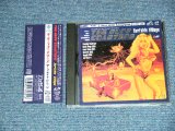 画像: The SURF COASTERS サーフ・コースターズ (中シゲヲ  SHIGEO NAKA)  - SURFSIDE VILLAGE (Japanese SURF Garage INSTRO) (MINT-/MINT) /1995 JAPAN ORIGINAL Used CD with OBI