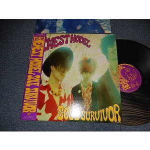画像: ニューエスト・モデル,NEWEST MODEL - SOUL SURVIVOR (Ex++/MINT-) / 1989 JAPAN ORIGINAL Used LP with OBI