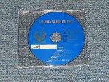 画像: サザン・オールスターズ SOUTHERN ALL STARS - TAISHITA SAMPLER 2000 (PROMO ONLY) (-/MINT)  / 2000 JAPAN ORIGINAL "PROMO ONLY" Used  CD 