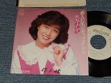 画像: 柏原芳恵 よしえ YOSHIE KASHIWABARA - A) 恋人たちのキャフェテラス   B)ロンリー・バースディ (Ex++/Ex++ WOFC, CLOUD) / 1982 JAPAN ORIGINAL "WHITE LABEL PROMO" Used 7" Single 