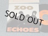 画像: ECHOES  エコーズ - A) ZOO  B) SURPRISE (Ex++/MINT SWOFC) /1989JAPAN ORIGINAL "PROMO ONLY" Used 7" シングル Single 