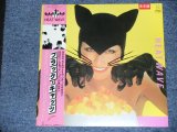 画像: ブラック・キャッツ　BLACK CATS - ヒート・ウエーブ　HEAT WAVE  / 1982 JAPAN ORIGINAL Promo LP With OBI   