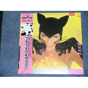 画像: ブラック・キャッツ　BLACK CATS - ヒート・ウエーブ　HEAT WAVE  / 1982 JAPAN ORIGINAL Promo LP With OBI   