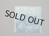 画像: ダニー飯田とパラダイス・キング　DANNY IIDA and PARADISE KING -　悲しきカンガルー TIE ME KANGAROO DOWN SPORT / 1960's  JAPAN ORIGINAL   7" シングル