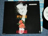 画像: アンナ・バナナ ANNA BANAN - 野生の音 YASAEI NO OTO / 1990 JAPAN ORIGINA Promo Only 7" Single