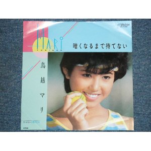 画像: 鳥越　マリ  MARI TORIKOSHI  - 暗くなるまで待てない　KURAKUNARUMADE MATENAI / 1984 JAPAN ORIGINAL WHITE LABEL PROMO 7"Single