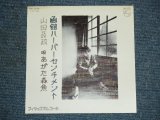 画像: あがた森魚　MORIO AGATA - 函館ハーバーセンチメント　HAKODATE HARVOR SENTIMENT / 1976 JAPAN ORIGINAL White Label Promo 7" シングル