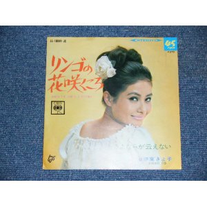 画像: 伊東きよ子  ITO KIYOKO - リンゴの花咲く頃 WHEN THE APPLE BLOSSOMS / 1967 JAPAN ORIGINAL 7"SINGLE