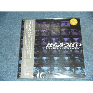 画像: 蜂蜜ぱい はちみつぱい　HACHIMITSU HONEY PIE - セカンド・アルバム　〜イン・コンサート〜  SECOND ALBUM ( in CONCERT ) / 2001 Released Version JAPAN ORIGINAL 180 Glam Heavy Weight Original Brand New LP With OBI 