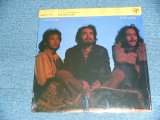 画像: PINK CLOUD ( JOHNNY LOUICE & CHER ) - KUTKOUD / 1982 JAPAN ORIGINAL LP With OBI + POSTER +  SHRINH WRAP !!!!