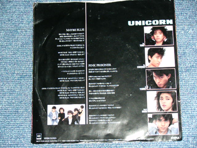 ユニコーン (奥田民生） UNICORN ( TAMIO OKUDA ) - MAY BE BLUE / 1987 JAPAN ORIGINAL  PROMO ONLY Used 7