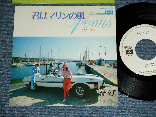 画像1: VENUS ヴィーナス　-  君はマリンの風 KIMI WA MARINE NO KAZE  / 1980 JAPAN ORIGINAL White Label PROMO Used  7"Single