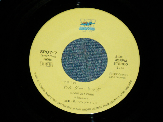 画像: ワンダードッグ /　ドリフターズ WONDER DOG / THE DRIFTERS - ドリフのわんだー・ドッグ WONDER DOG  / 1982 JAPAN ORIGINAL PROMO Used 7" Single シングル