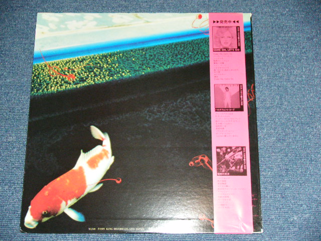 画像: 近田春夫 HARUO CHIKADA  - 天然の美 NATURAL BEAUTY ( Ex+++/MINT- )  / 1979 JAPAN ORIGINAL Used LP With OBI 