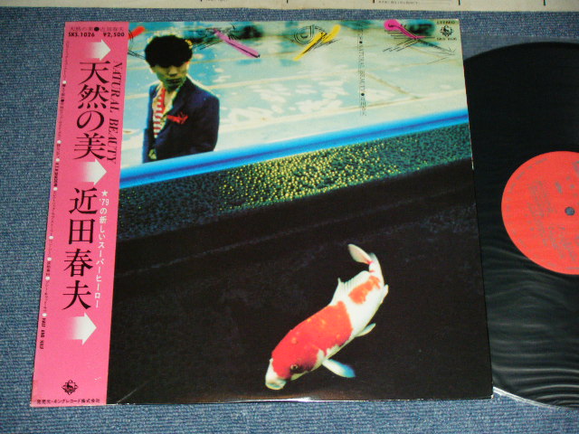 画像1: 近田春夫 HARUO CHIKADA  - 天然の美 NATURAL BEAUTY ( Ex++/MINT- )  / 1979 JAPAN ORIGINAL Used LP With OBI 