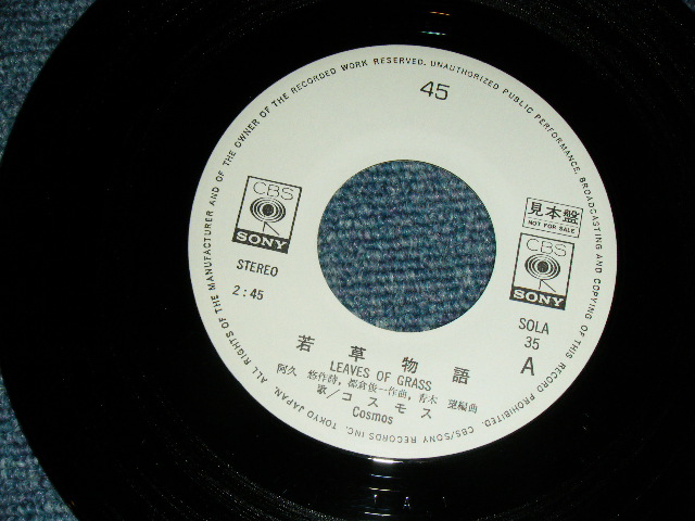 画像: コスモス COSMOS - 若草物語 ( 阿久　悠　作詩　都倉俊一　作曲 ) / 1972  JAPAN ORIGINAL 'WHITE LABEL PROMO' Used 7"Single