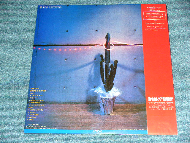 画像: ブレッド＆バター BREAD & BUTTER - FINE LINE ( MINT-/MINT)  / 1983 JAPAN ORIGINAL Used LP with OBI  