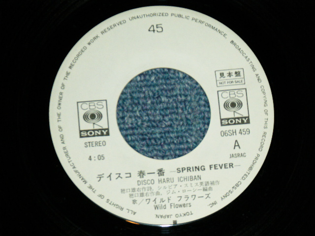 画像: ワイルド・フラワーズ WILD FLOWERS - デイスコ春一番 DISCO HARU ICHIBAN  (  DISCO COVER of CANDIES キャンディーズの名曲をディスコスタイルでカヴァー　MINT-/MINT- )  / 1978 JAPAN ORIGINAL "WHITE LABEL PROMO"  Used 7" シングル Single 