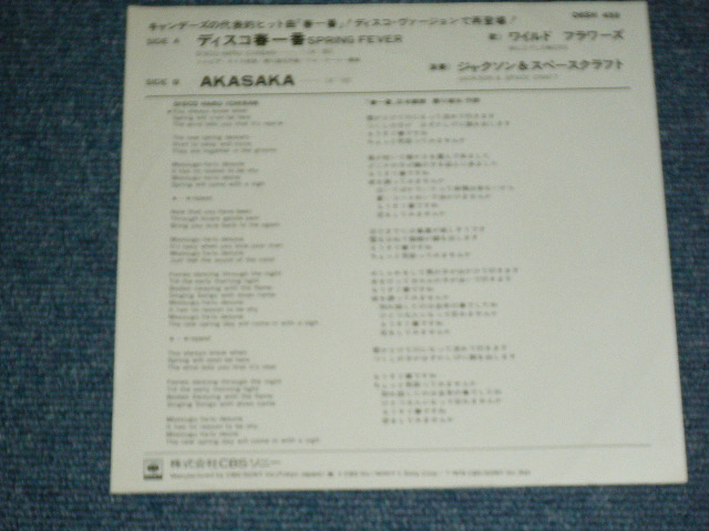 画像: ワイルド・フラワーズ WILD FLOWERS - デイスコ春一番 DISCO HARU ICHIBAN  (  DISCO COVER of CANDIES キャンディーズの名曲をディスコスタイルでカヴァー　MINT-/MINT- )  / 1978 JAPAN ORIGINAL "WHITE LABEL PROMO"  Used 7" シングル Single 