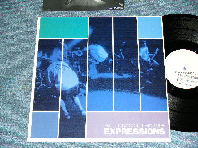 画像1: EXPRESSION - ALL LIVING THINGS ( Ex+++/MINT-) / 1998 JAPAN ORIGINAL Used 12" 