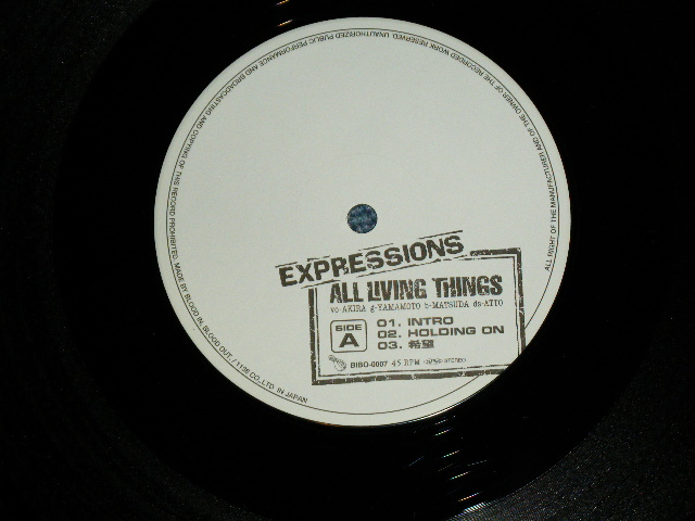 画像: EXPRESSION - ALL LIVING THINGS ( Ex+++/MINT-) / 1998 JAPAN ORIGINAL Used 12" 
