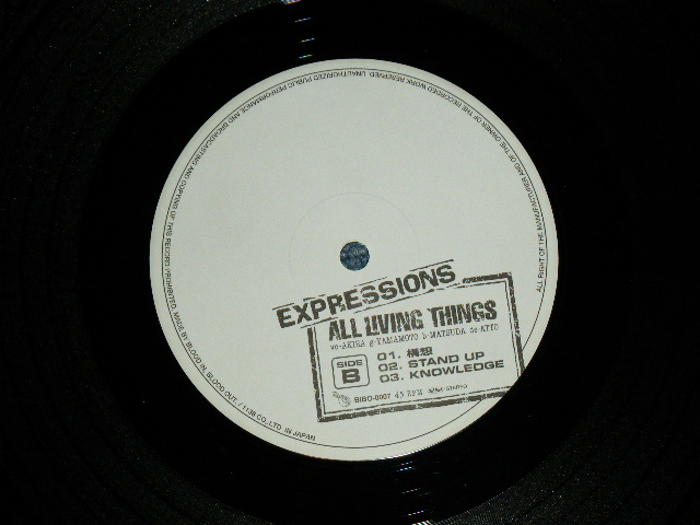 画像: EXPRESSION - ALL LIVING THINGS ( Ex+++/MINT-) / 1998 JAPAN ORIGINAL Used 12" 