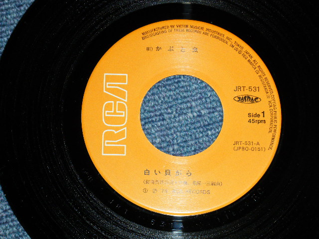 画像: かぶと虫　KABUTO MUSHI - 白い貝がら ( Ex+++/Ex+++ )  / 1975 JAPAN ORIGINAL Used 7" シングル Single 