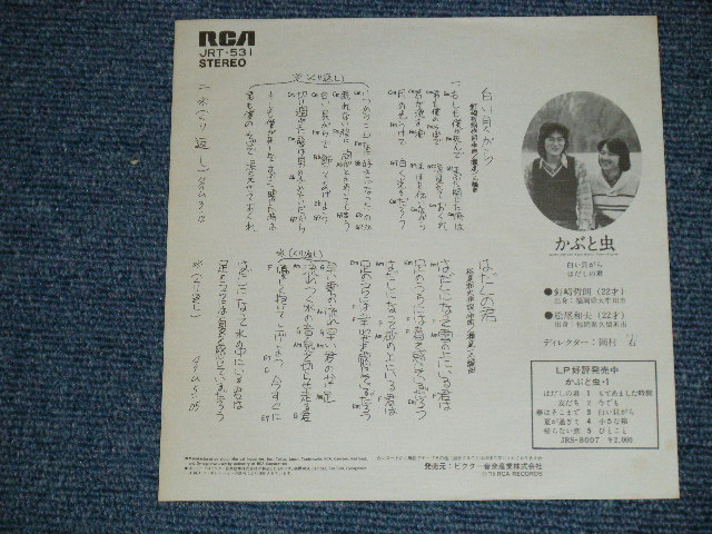 画像: かぶと虫　KABUTO MUSHI - 白い貝がら ( Ex+++/Ex+++ )  / 1975 JAPAN ORIGINAL Used 7" シングル Single 