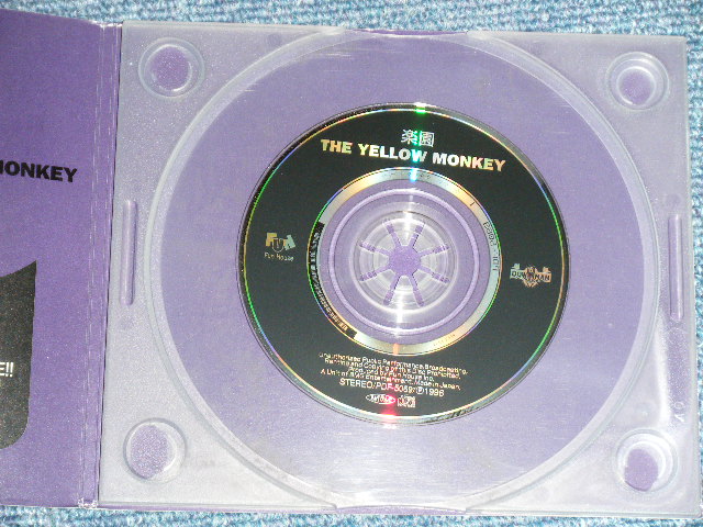 画像: イエロー・モンキー THE YELLOW MONKEY - 楽園( PROMO ONLY) ( MINT-/MINT)  / 1996 JAPAN ORIGINAL "PROMO ONLY" Used  3" CD Single 