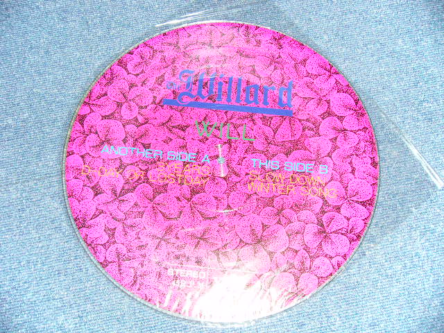 画像: ウイラード WILLARD - WILL : Picture Disc ( Ex++//MINT)  /  JAPAN "PROMO"   "Picture Disc" Used LP 