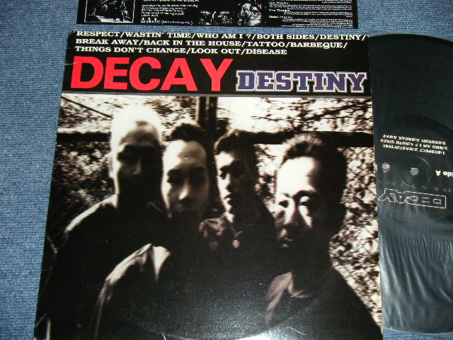 画像1: DECOY - DESTINY  ( Ex+++/MINT-)   / US AMERICA Press  "INDIES"  Used LP 