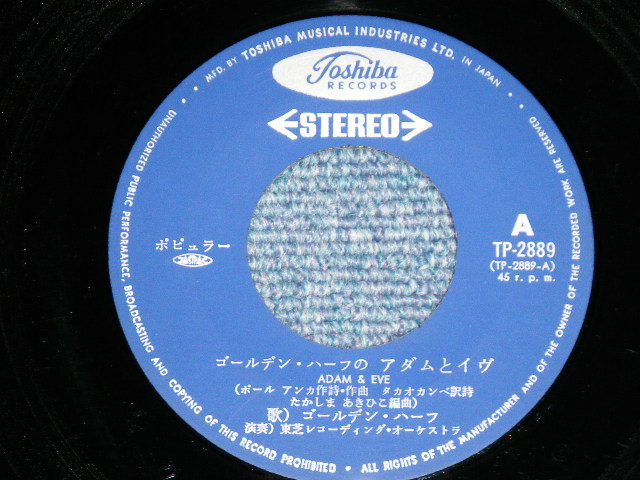 画像: ゴールデン・ハーフ GOLDEN HALF  - ゴールデン・ハーフ のアダムとイヴ ADAM & EVE : エヴリナイト EVERY NIGHT (Ex+++/MINT-) / 1970's JAPAN ORIGINAL Used  7"Single