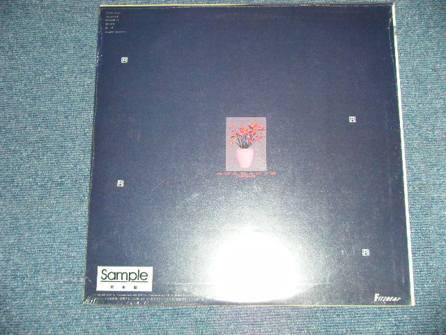 画像: イコシン  IKOSHIN - AMARANTE   ( SEALED ) / 1983 JAPAN ORIGINAL "BTRAND NEW SEALED"  LP