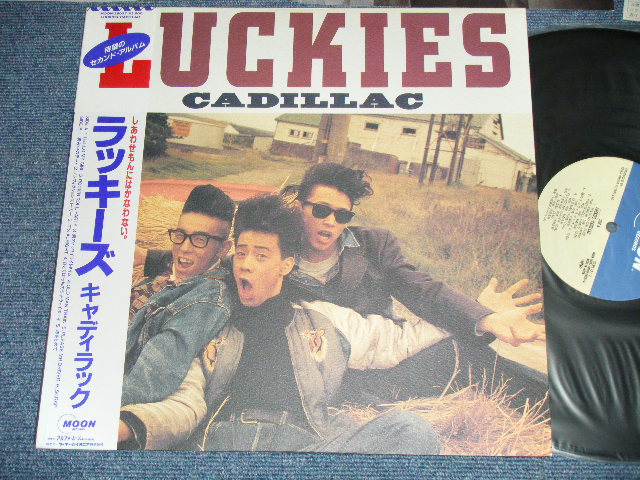 画像1: キャディラック CADILLAC - ラッキーズLUCKIES ( MINT-/MINT-) / 1986 JAPAN ORIGINAL  Used LP with OBI 