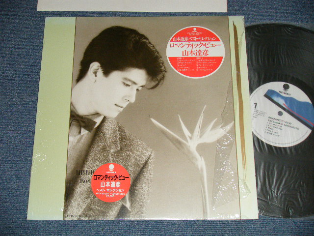 画像1: 山本達彦 TATSUHIKO YAMAMOTO - ロマンティック・ビュー ROMANTIC VIEW（MINT-/MINT-）/  1983 JAPAN ORIGINAL Used LP with SEAL OBI