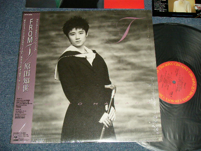 画像1: 原田知世 TOMOYO HARADA  - FROM T (MINT/MINT) / 1987 JAPAN ORIGINAL Used LP with OBI & CARD